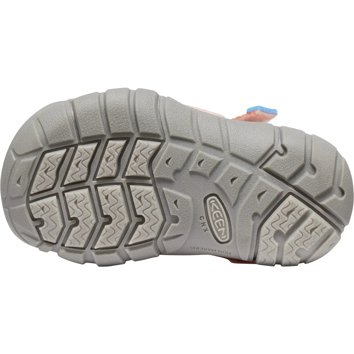 Seacamp II CNX Sandal - Toddler - Sports Excellence