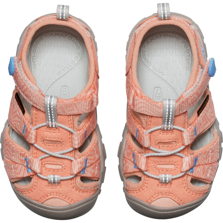Seacamp II CNX Sandal - Toddler - Sports Excellence