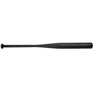 Mizuno CRBN1 - Cage Bat - Fastpitch Softball Training Bat (-10) - Sports Excellence